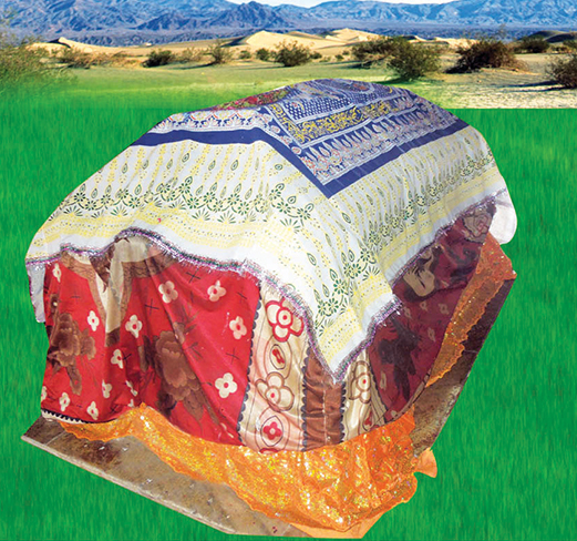 Mazar Of Mehmood Begda